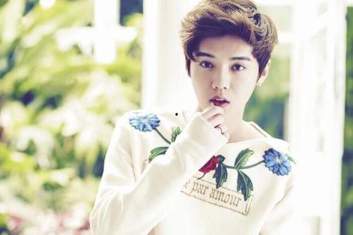 鹿晗的明星同学,友谊与梦想同行