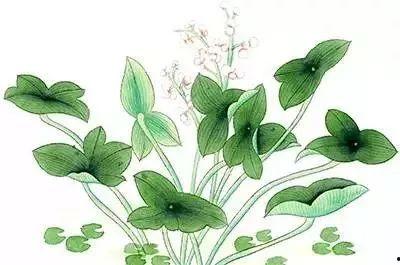 王雪迎明星,星光璀璨的青春偶像