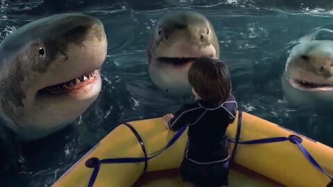 网红小鲨鱼男孩子,青春活力，网络新宠