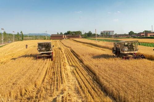 普麦今日头条,聚焦热点，洞察行业动态