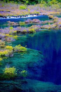 广西网红谁去九寨沟,探寻自然奇观之旅”