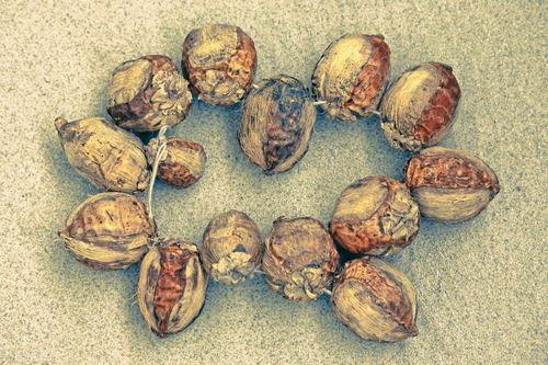 黑皮男吃瓜,揭秘娱乐圈幕后真相