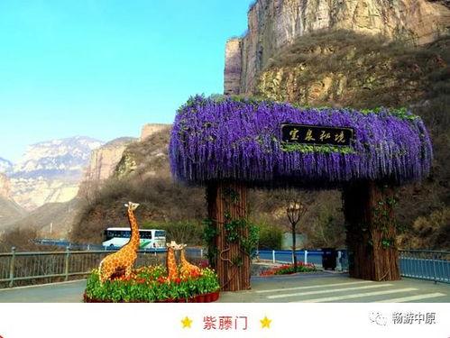 河南辉县小网红是谁,网络红人的崛起与影响力