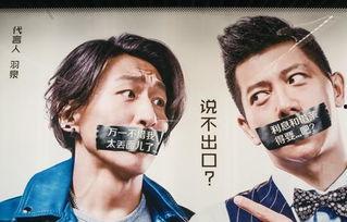 借贷宝 杨晴雨在线观看,揭秘网络借贷背后的故事