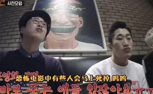 明星大侦探太假,揭秘太假背后的真相与笑料