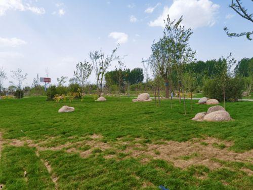 济源网红坡,济源新晋打卡胜地揭秘