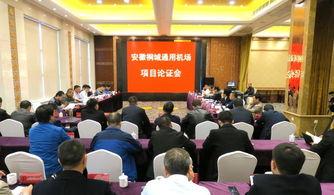 安徽合肥桐城新闻头条,合肥桐城聚焦重大发展动态