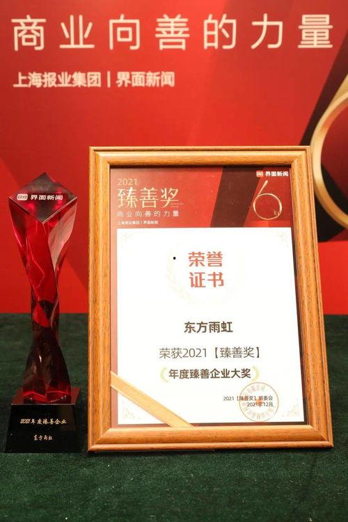 网红臻善,揭秘网络红人的魅力与影响力