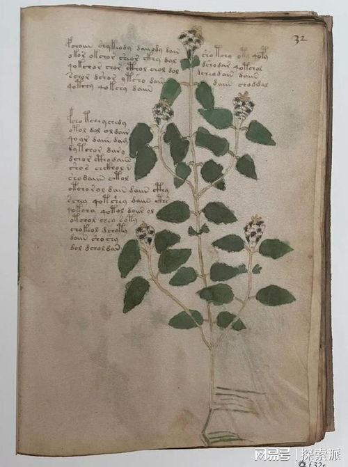 伏尼契头条,揭秘神秘古卷背后的历史之谜