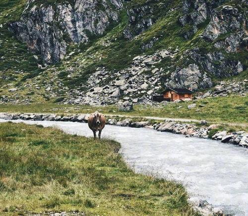 水寒江静.月明星疏,夜色中的宁静与诗意