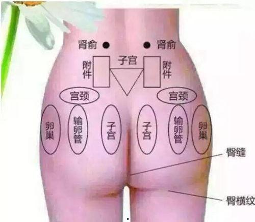 明星臀疗,塑造完美臀部曲线的神奇方法