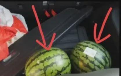 小车吃瓜,揭秘瓜农与城市生活的奇妙交融