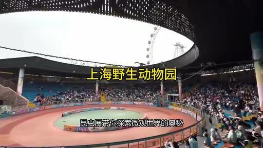 80后的上海头条,从青春记忆到城市新篇章