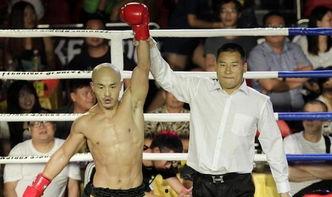 河南武林风在线观看,河南武林风在线观看精彩瞬间回顾