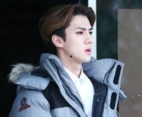 姓严的韩国明星,闪耀舞台的璀璨星辰