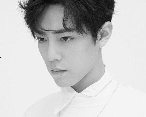 烟火气明星,璀璨星光下的烟火人生