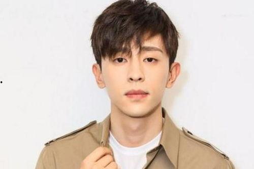 男明星东北的,揭秘男明星的东北魅力