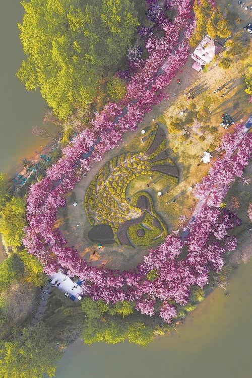 桃江竹海网红打卡地图,探秘自然秘境，解锁热门打卡点