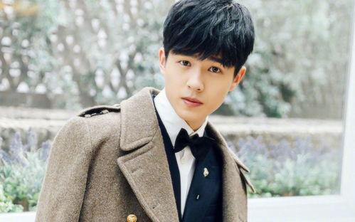 男明星演的电影,探寻男明星银幕风采的璀璨瞬间