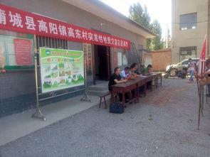 蒲城县高阳镇头条,聚焦发展新篇章，共绘乡村振兴美好蓝图