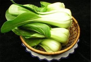 湖南作菜吃的瓜