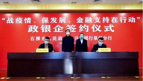 南阳石狮新闻头条最新,千年石狮焕新颜，见证古城文化传承