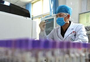 王子成头条,揭秘明星背后的奋斗故事