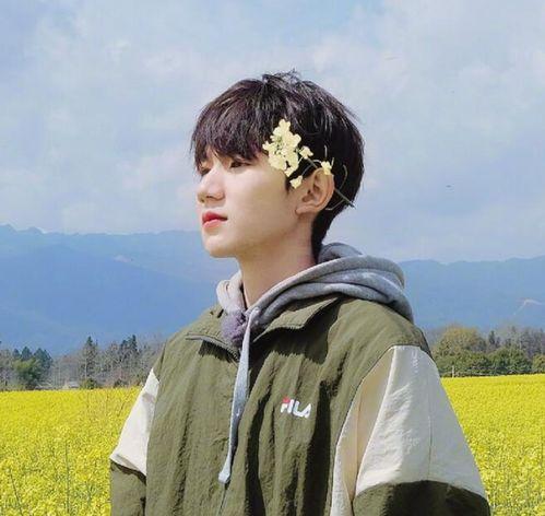 网红柏麒打神童,从神童到网红，揭秘天才少年的蜕变之路